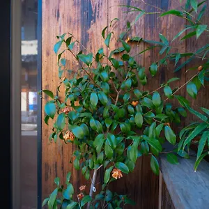 Séjour chez l'habitant 美築八坂, Kyoto